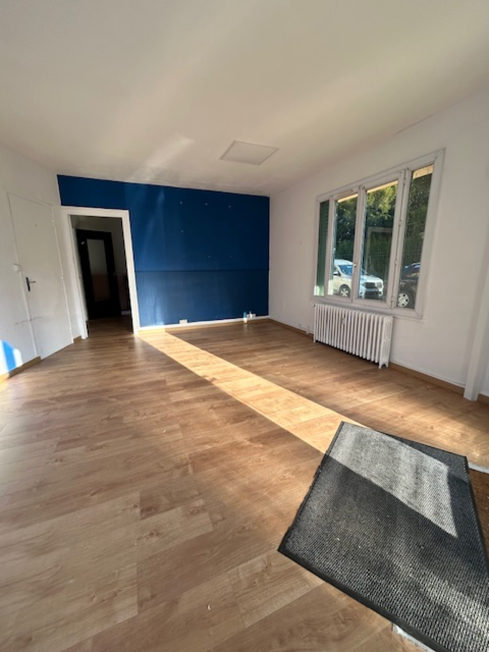 Image_, Local commercial, Chaumont, ref :1004