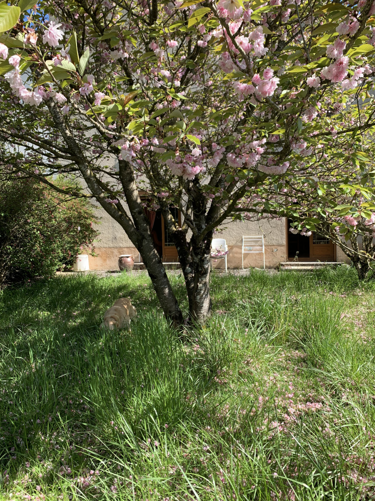 biens/1/51e5a192841162f8968645cfbaf4d9e5/photo_2ca595e03d86d16bfc7db9cb1d24805b.jpg