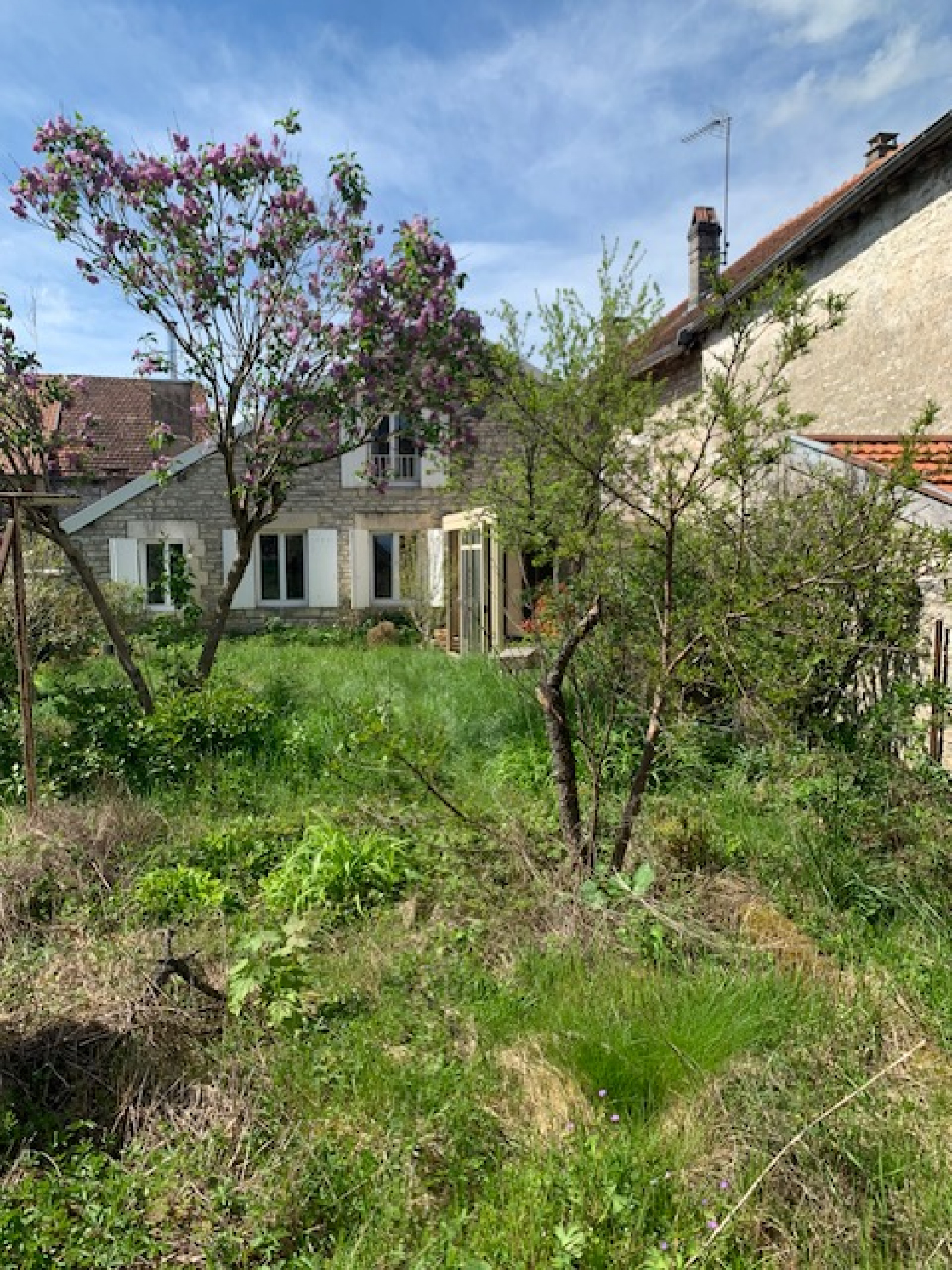 Image_, Maison, Roches-Bettaincourt, ref :869-1