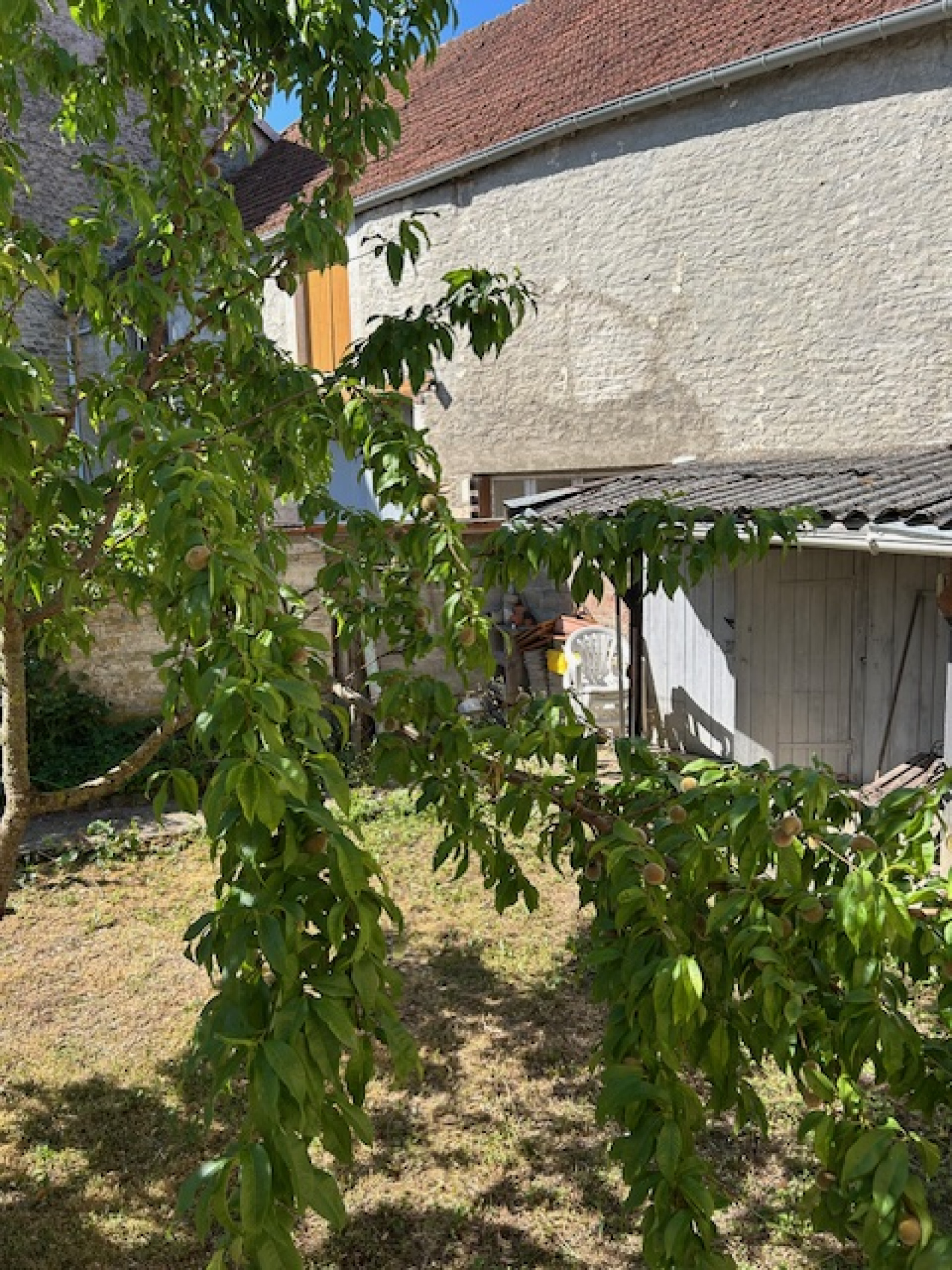 Image_, Maison, Bologne, ref :1003