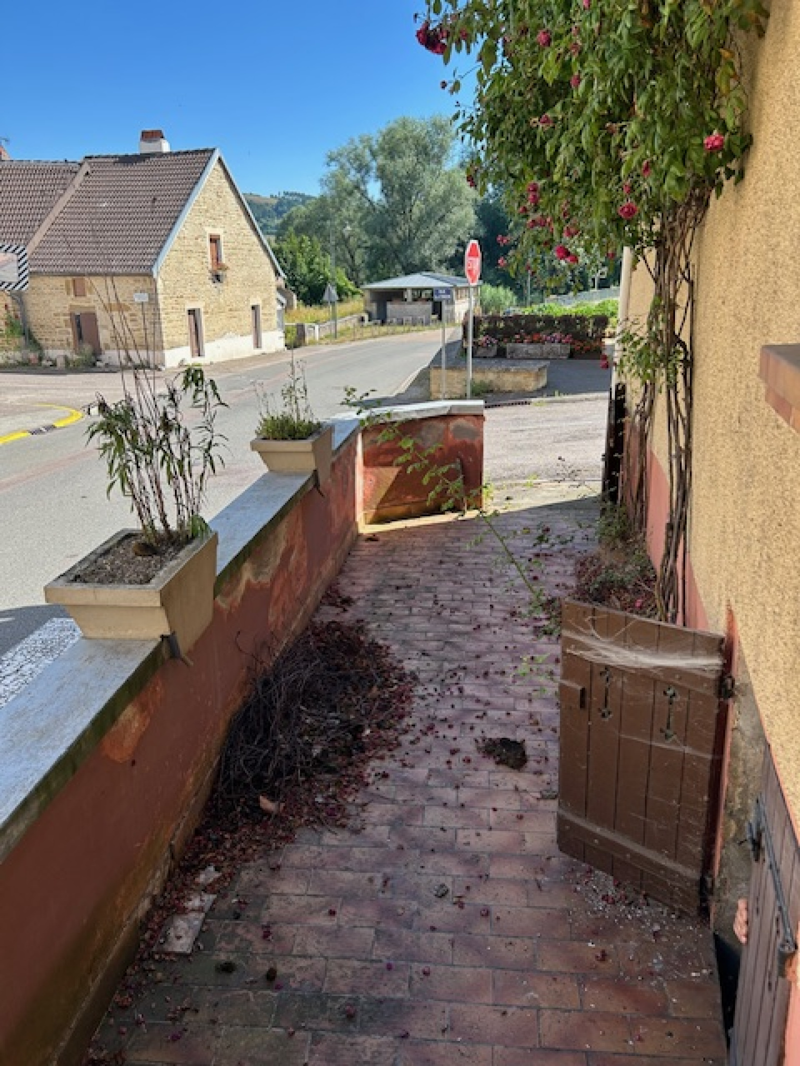 Image_, Maison, Bologne, ref :1003