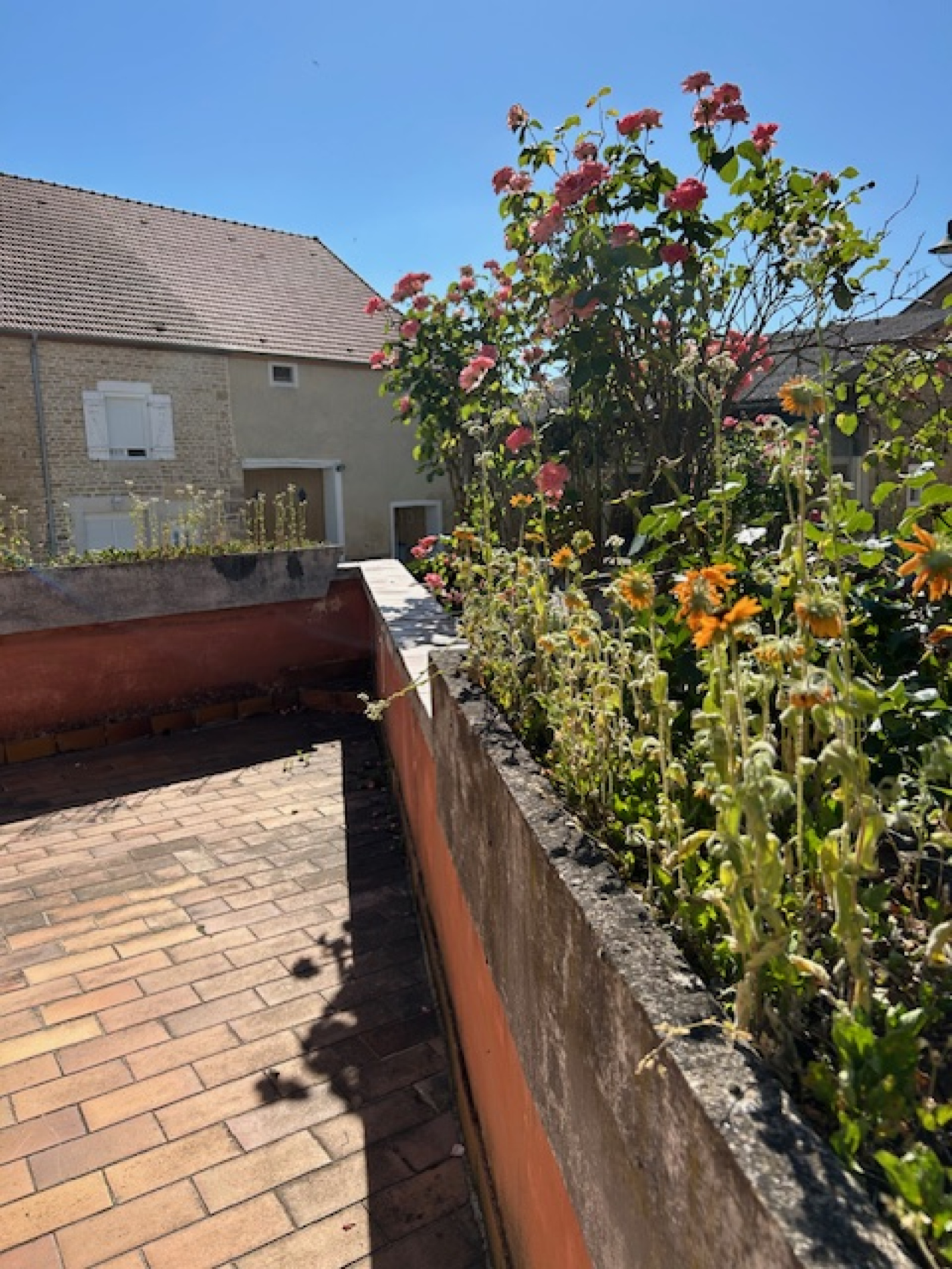 Image_, Maison, Bologne, ref :1003