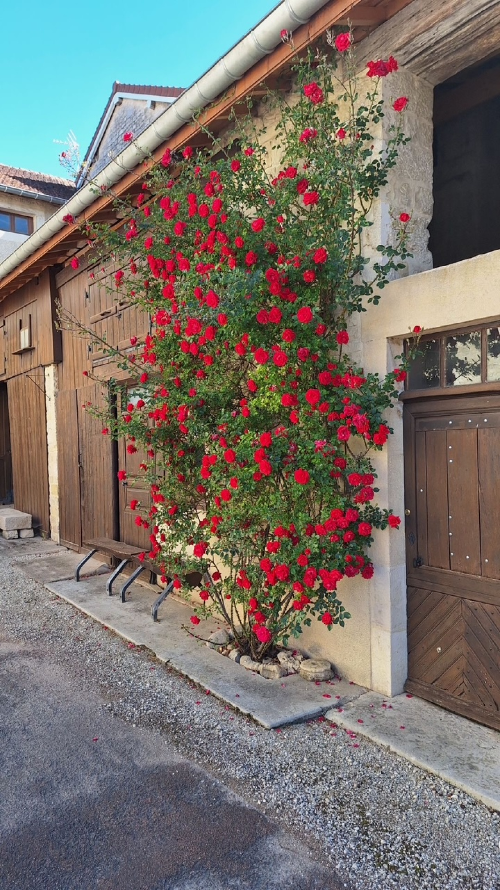 Image_, Maison, Viéville, ref :1011