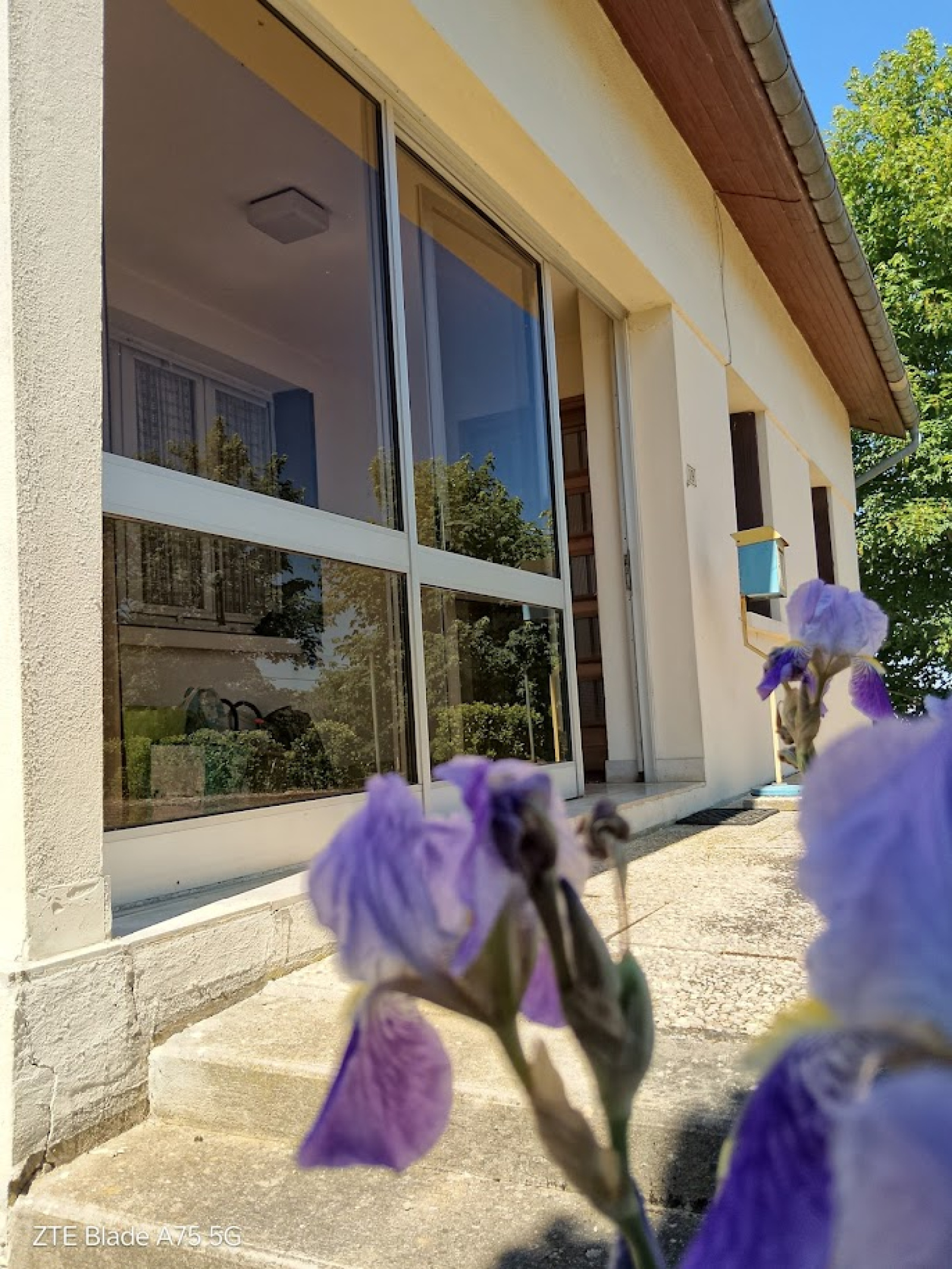 Image_, Maison, Is-en-Bassigny, ref :994