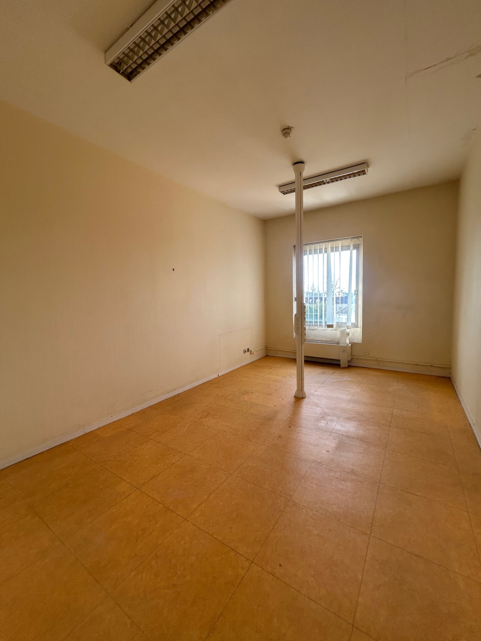 Image_, Local professionnel, Chaumont, ref :362